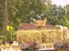 Erntedank2009_0261
