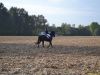 Fuchsjagd2014_0107