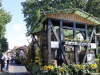 erntedank0543